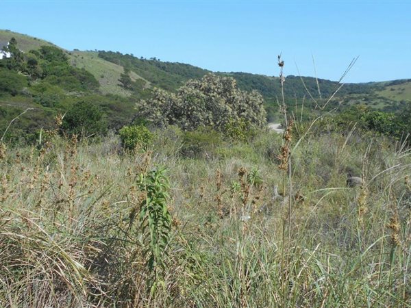 910 m² Land available in Morgans Bay
