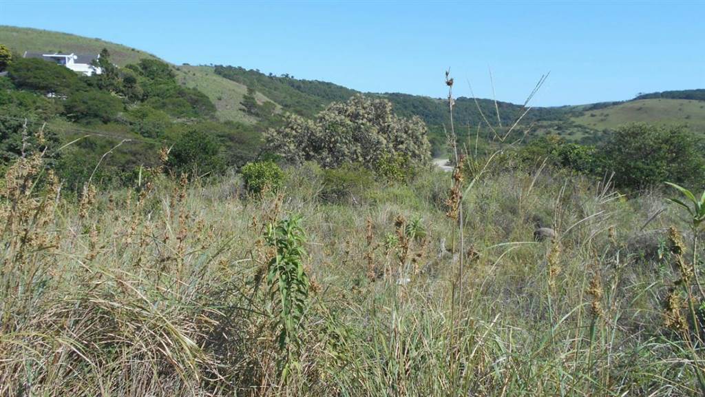 910 m² Land available in Morgans Bay photo number 1