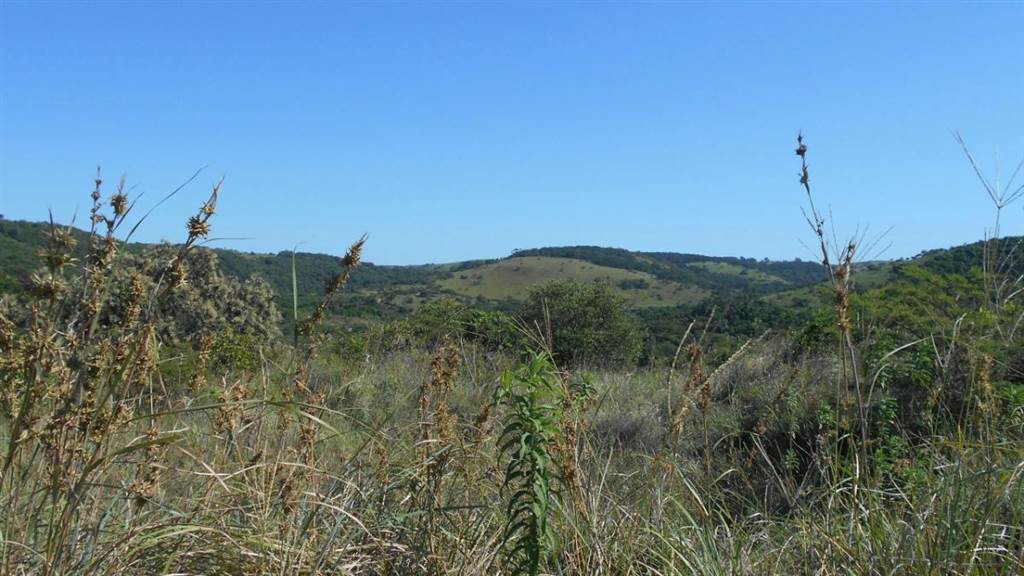 910 m² Land available in Morgans Bay photo number 3