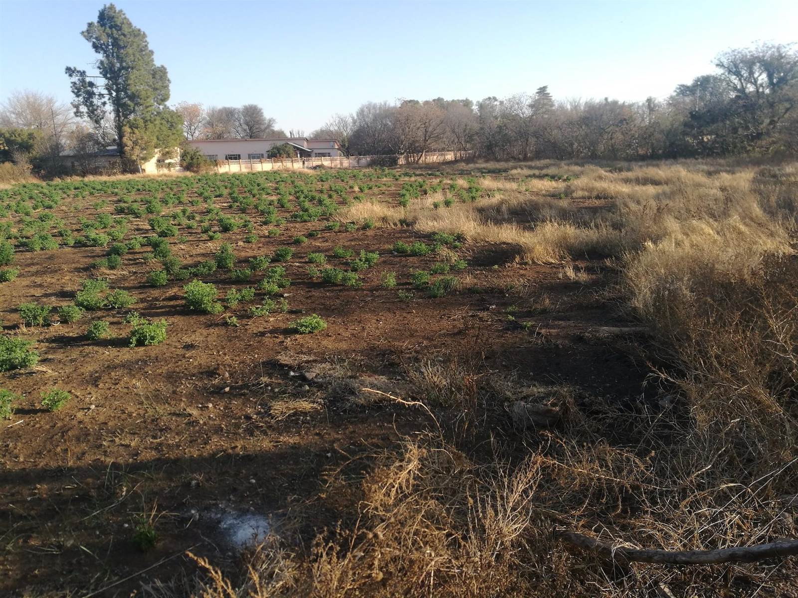 2 ha Land available in Klerksdorp photo number 9
