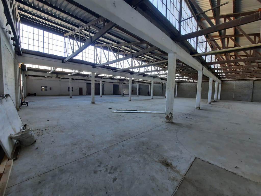 1600  m² Industrial space in Elsies River Industrial photo number 5