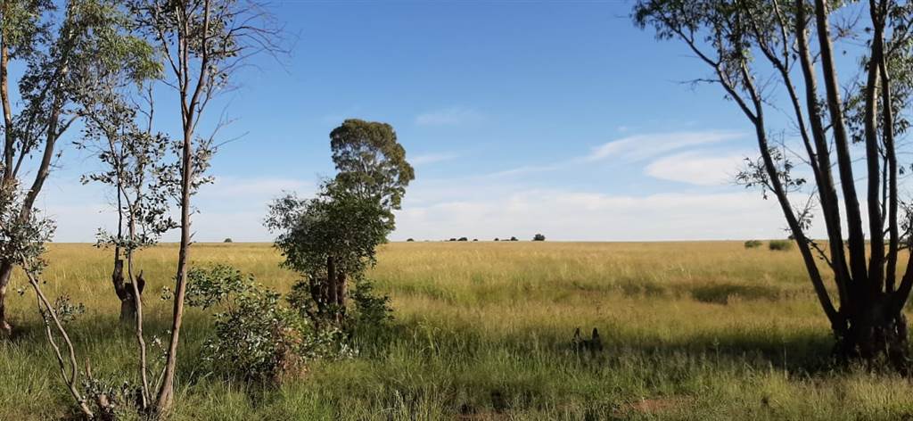227.8 ha Farm in Bultfontein photo number 8