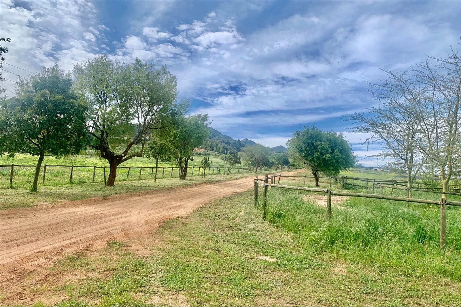 6.4 ha Farm in Northern Paarl photo number 13