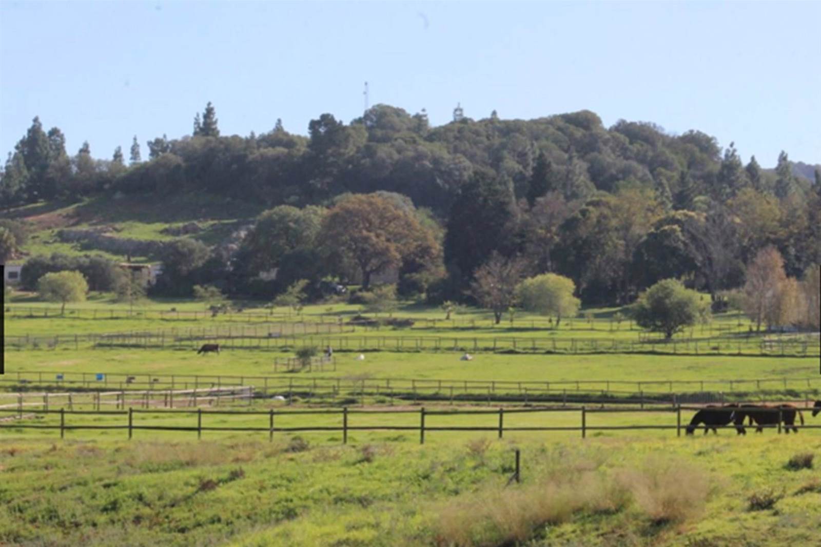 6.4 ha Farm in Northern Paarl photo number 16