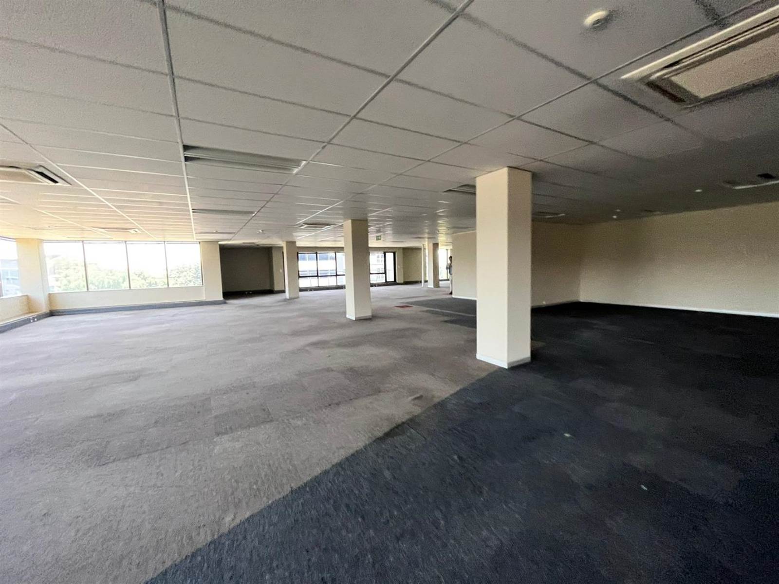 5317  m² Commercial space in Parktown photo number 19