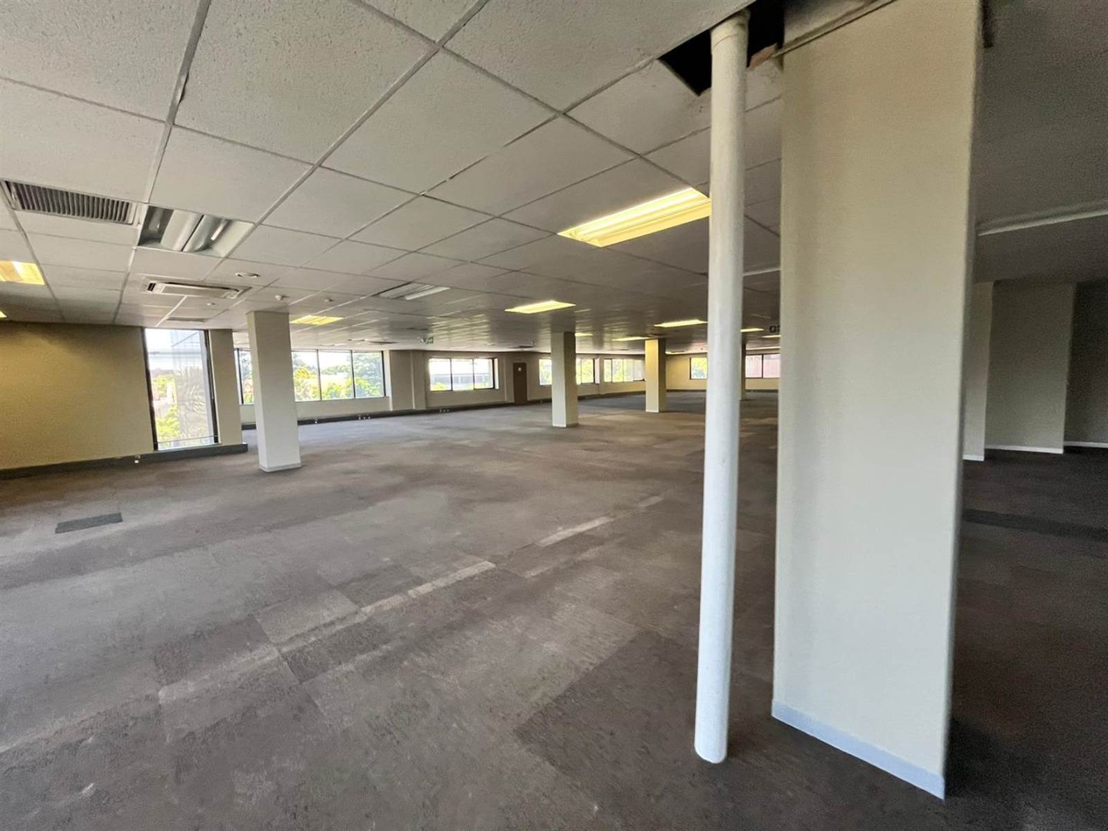 5317  m² Commercial space in Parktown photo number 7