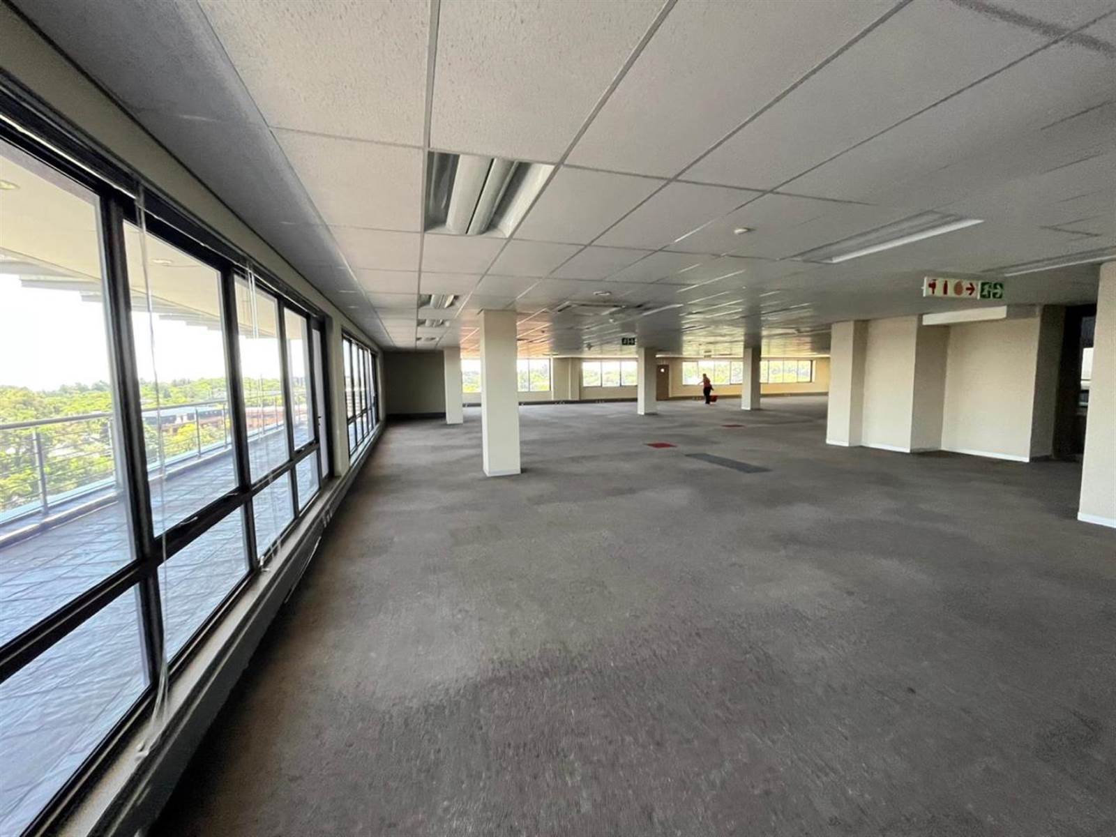 5317  m² Commercial space in Parktown photo number 16