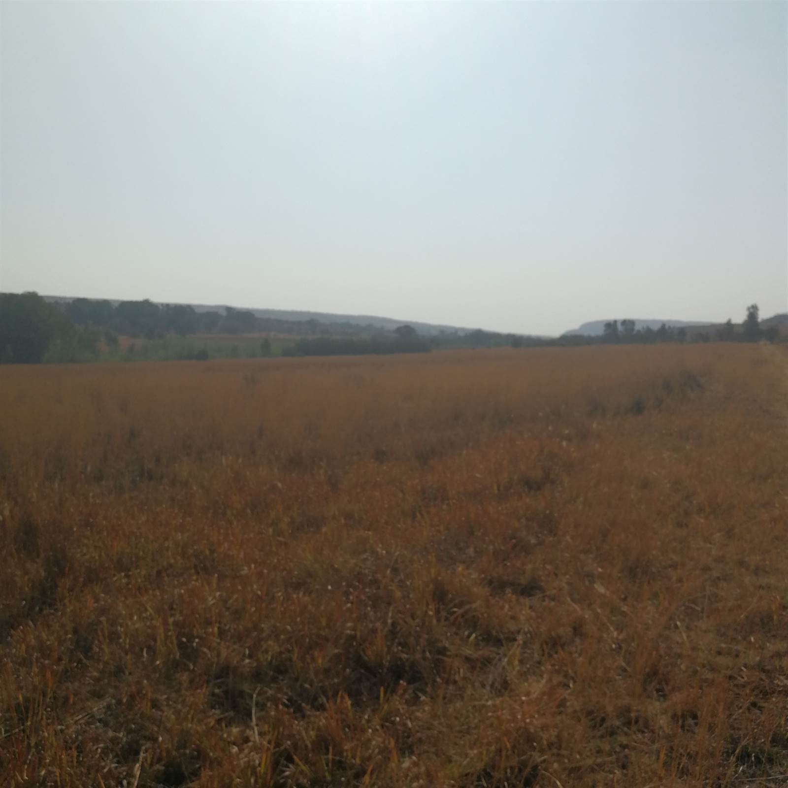 5.1 ha Land available in Rayton photo number 9