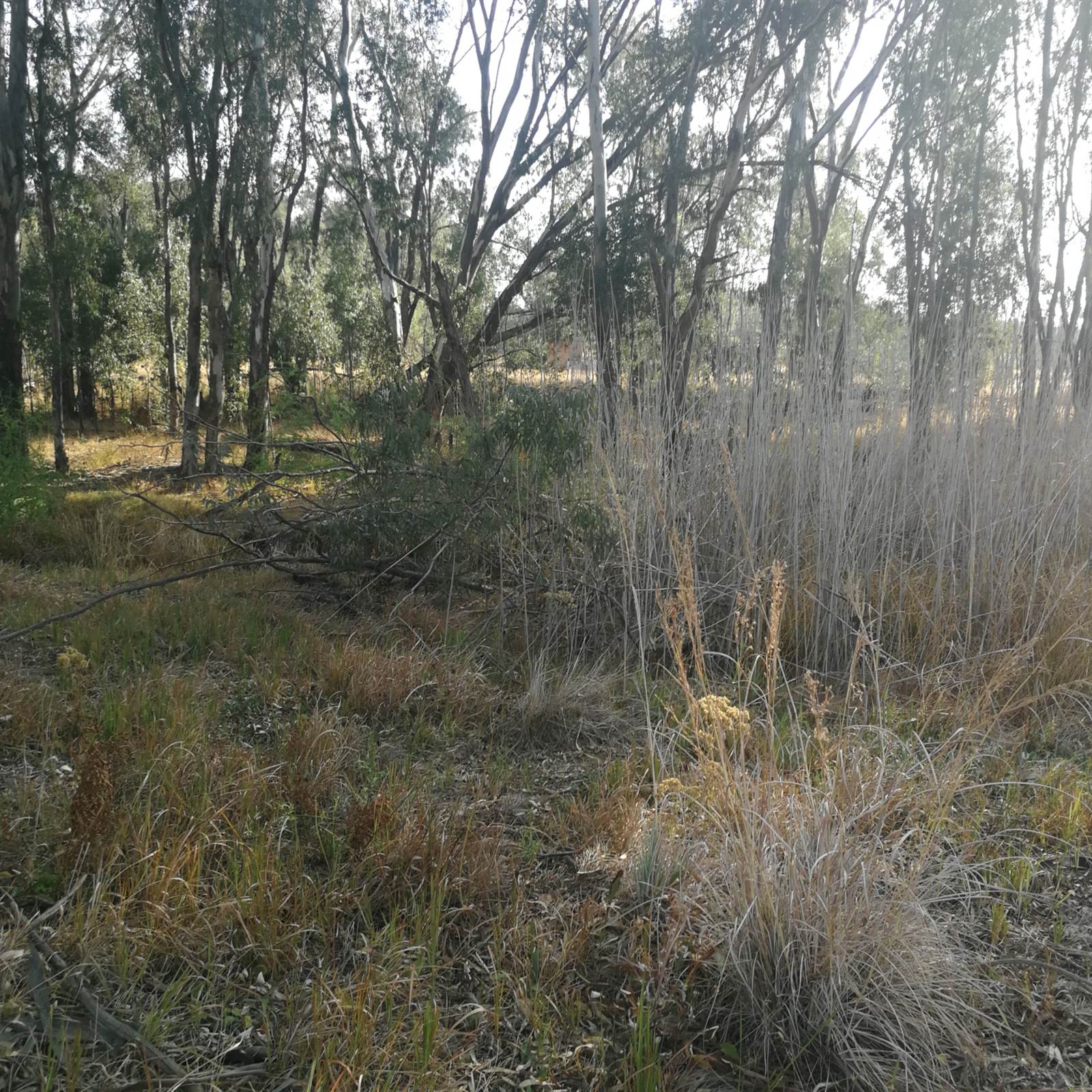 5.1 ha Land available in Rayton photo number 10