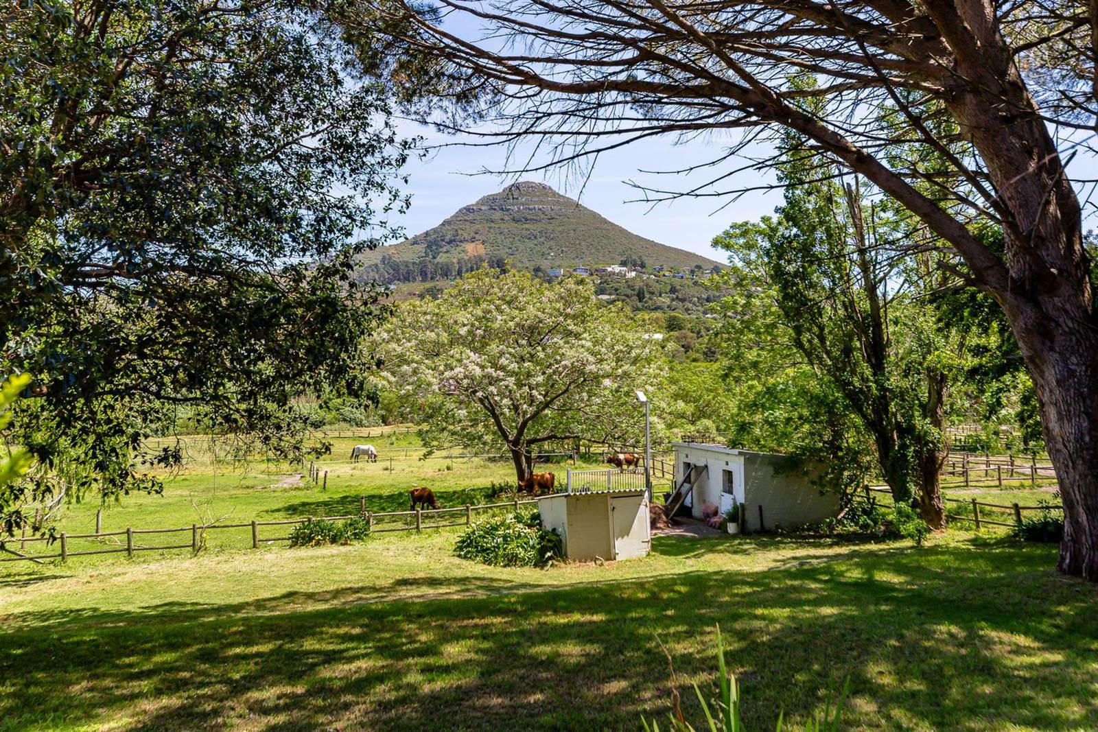 Game Farm in Hout Bay and surrounds photo number 7
