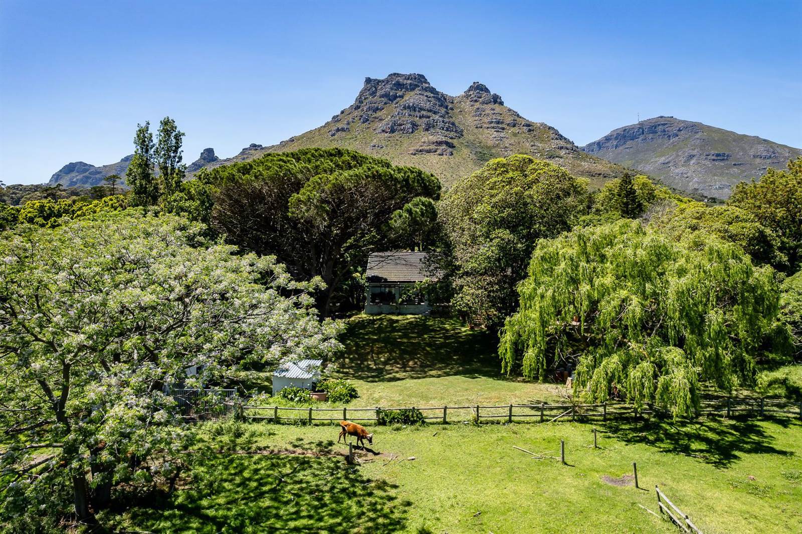 Game Farm in Hout Bay and surrounds photo number 4