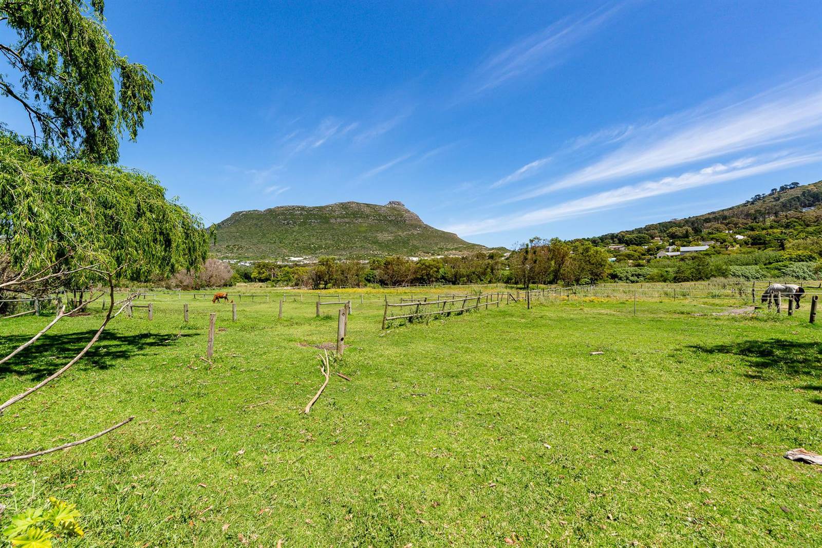Game Farm in Hout Bay and surrounds photo number 6
