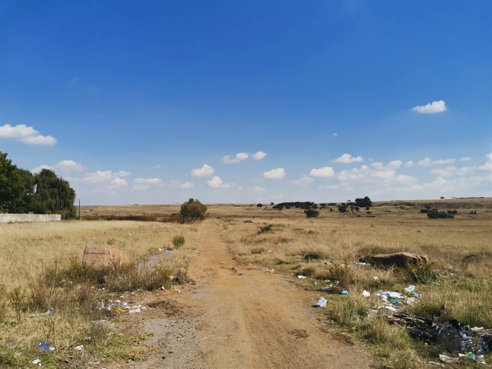 4283 m² Land available in Bethal photo number 4