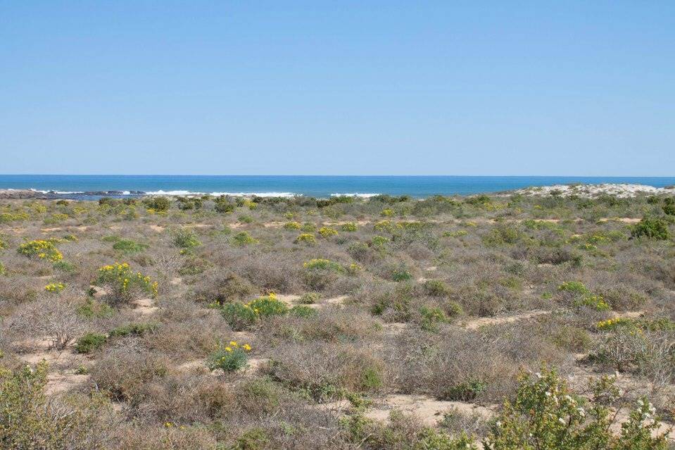 674 m² Land available in Hondeklip Bay photo number 1
