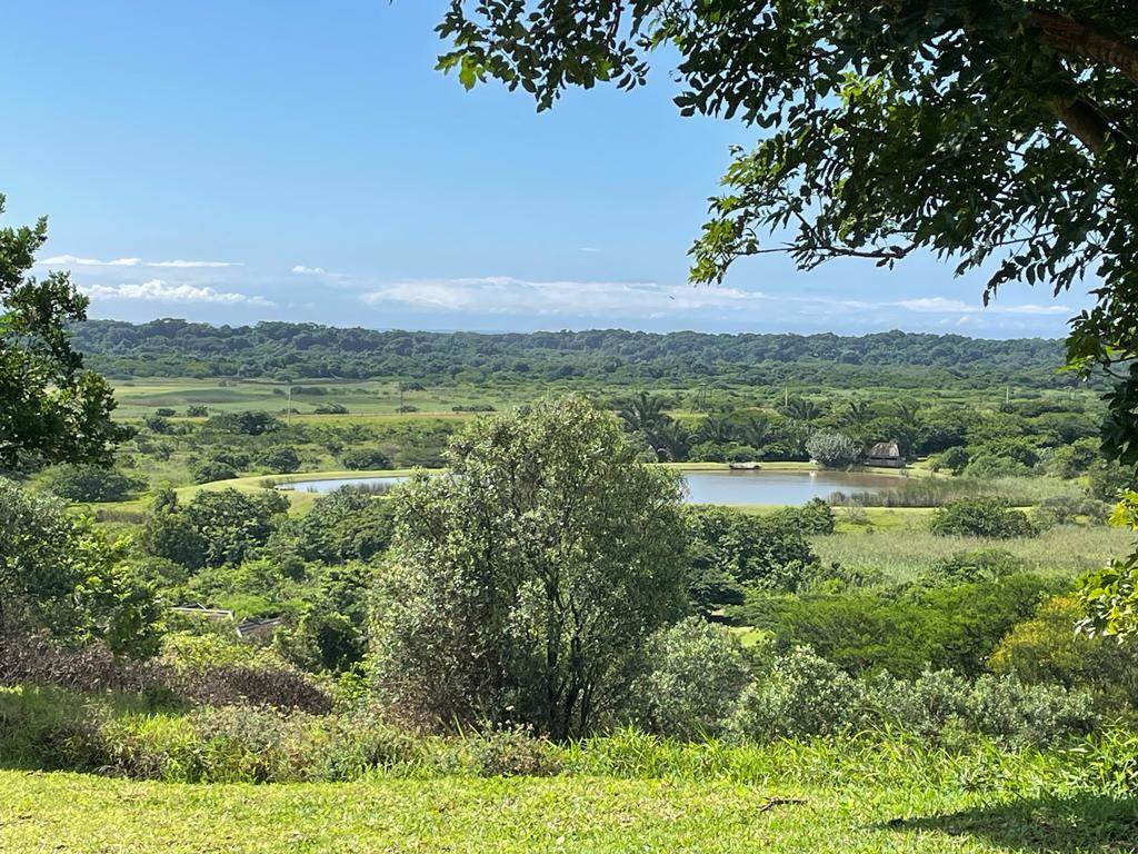 1539 m² Land available in Mtunzini photo number 3
