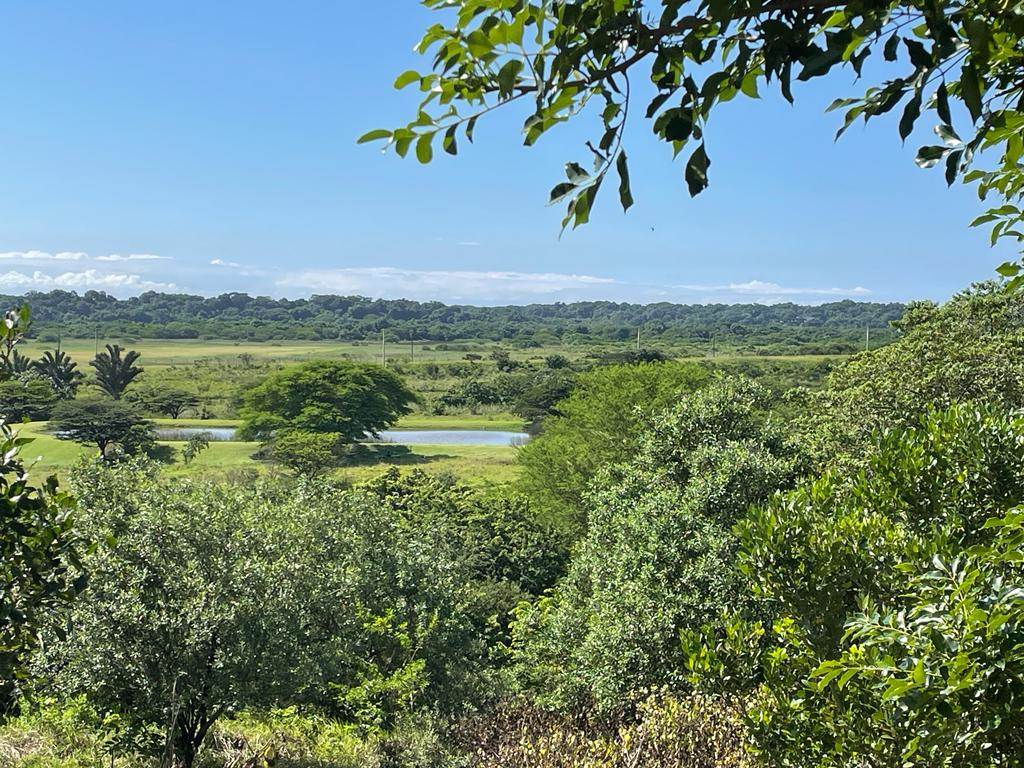 1539 m² Land available in Mtunzini photo number 5