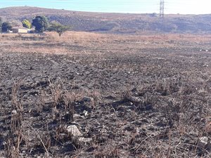1040 m² Land available in Amajuba Park