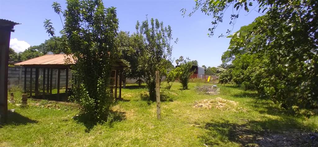 704 m² Land available in Louis Trichardt photo number 13