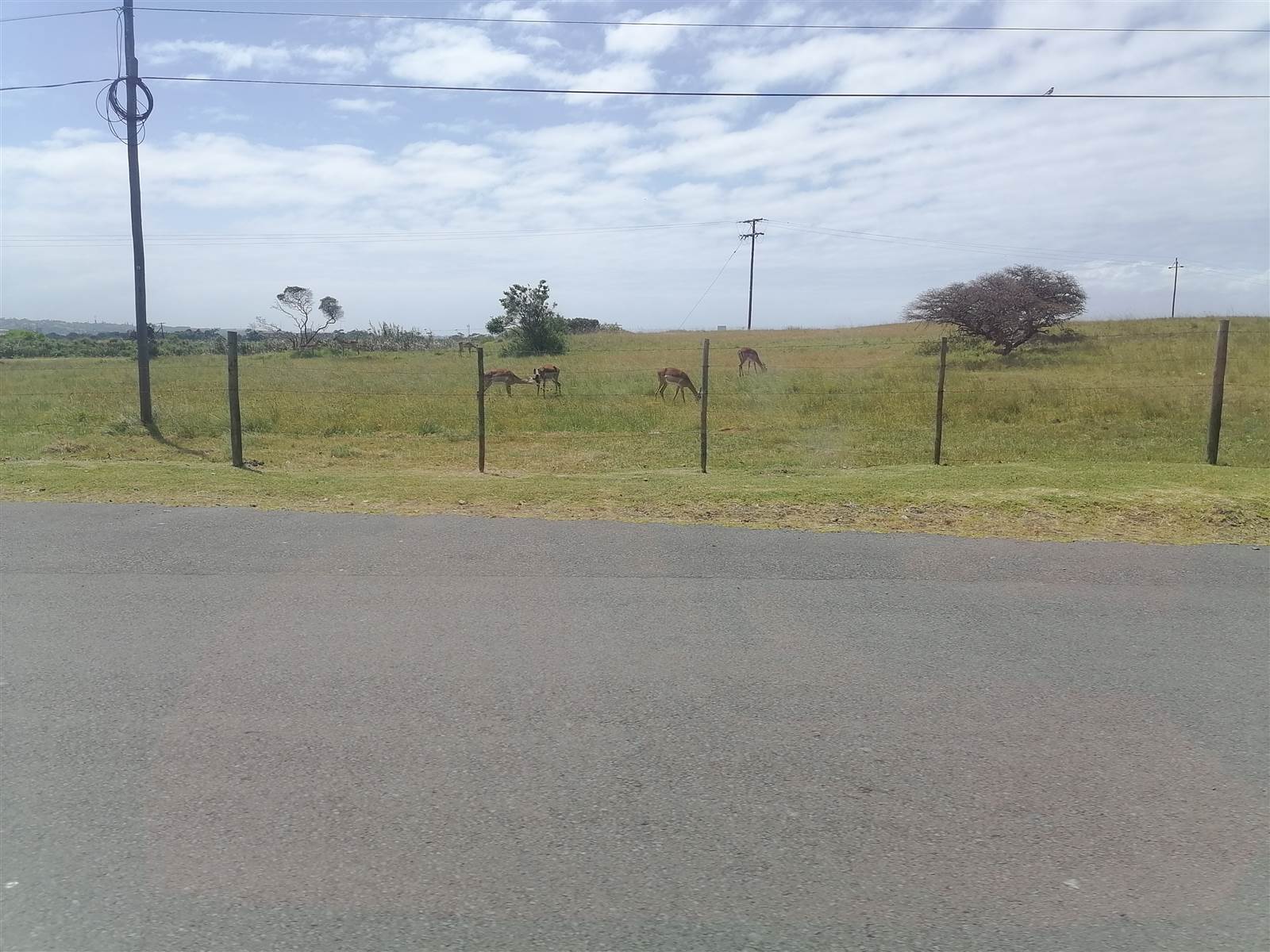 650 m² Land available in Cove Rock photo number 8
