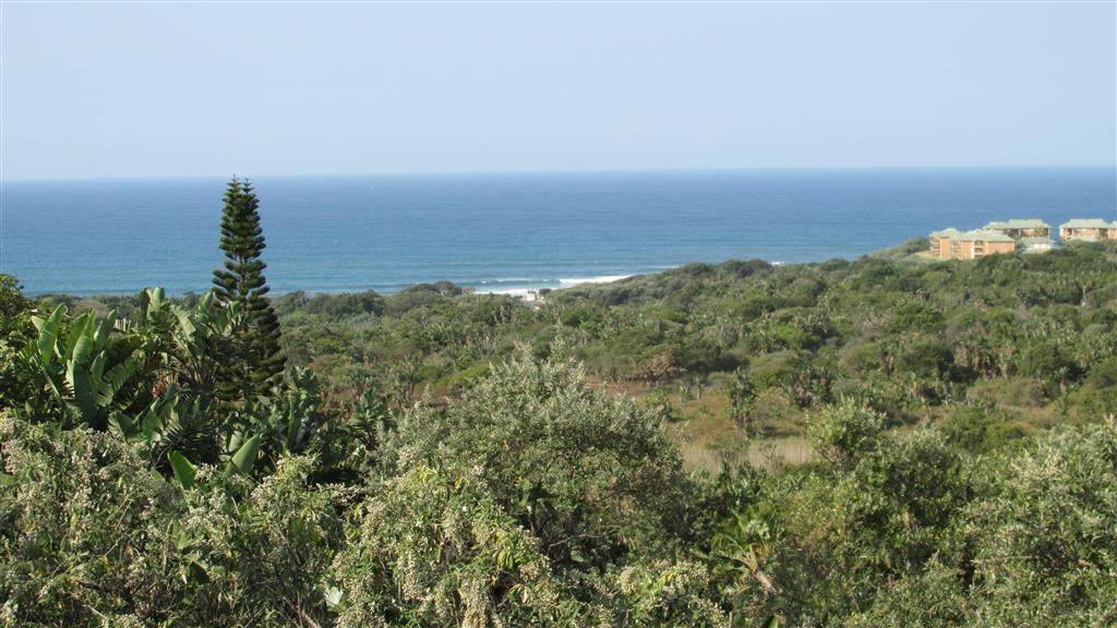 1632 m² Land available in Trafalgar photo number 1