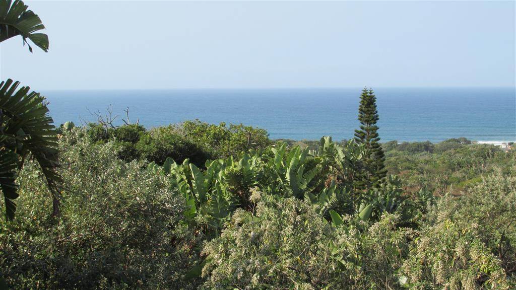 1632 m² Land available in Trafalgar photo number 3