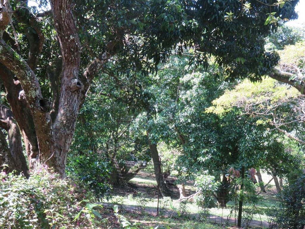 1308 m² Land available in Mtunzini photo number 6