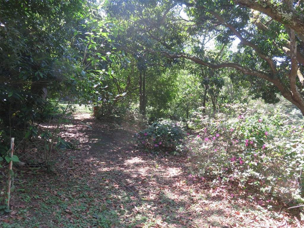 1308 m² Land available in Mtunzini photo number 5
