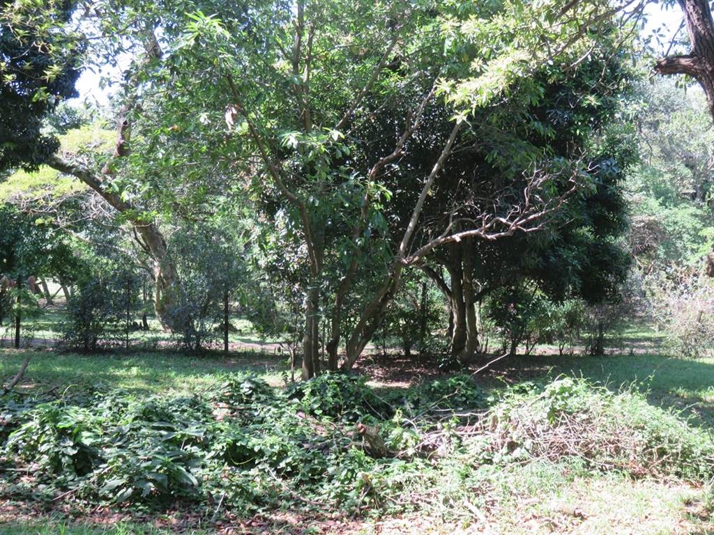 1308 m² Land available in Mtunzini photo number 4