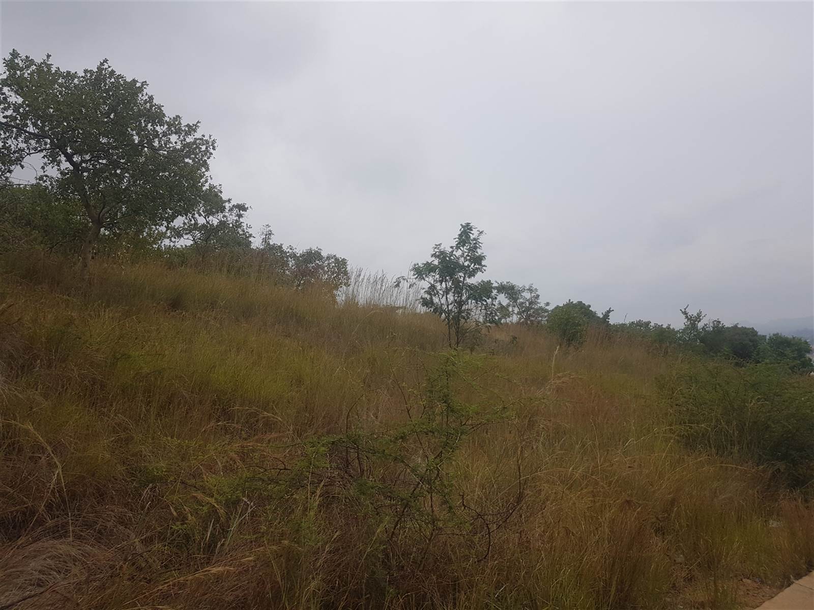 4.4 ha Land available in Cashan photo number 11