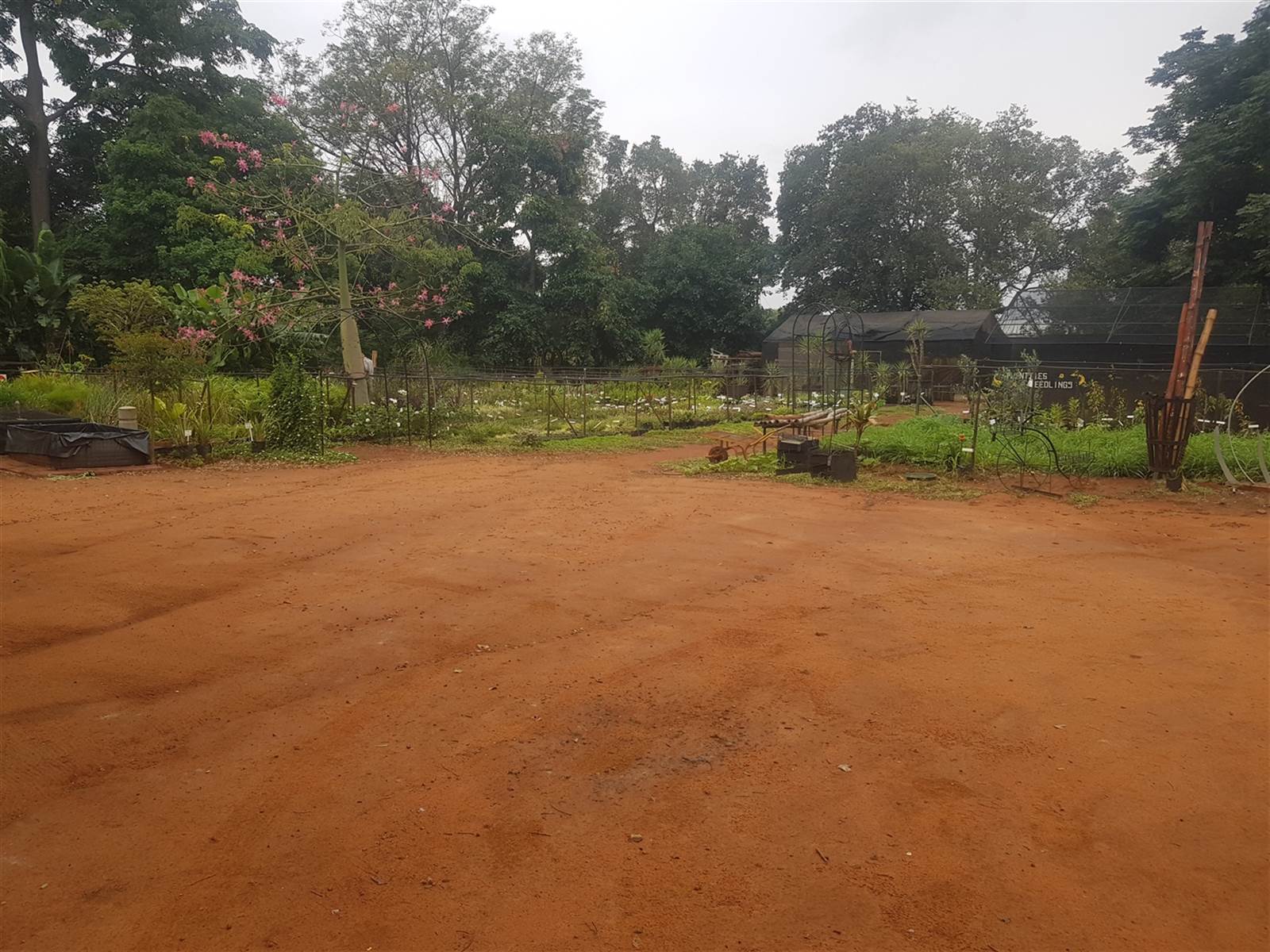 4.4 ha Land available in Cashan photo number 4