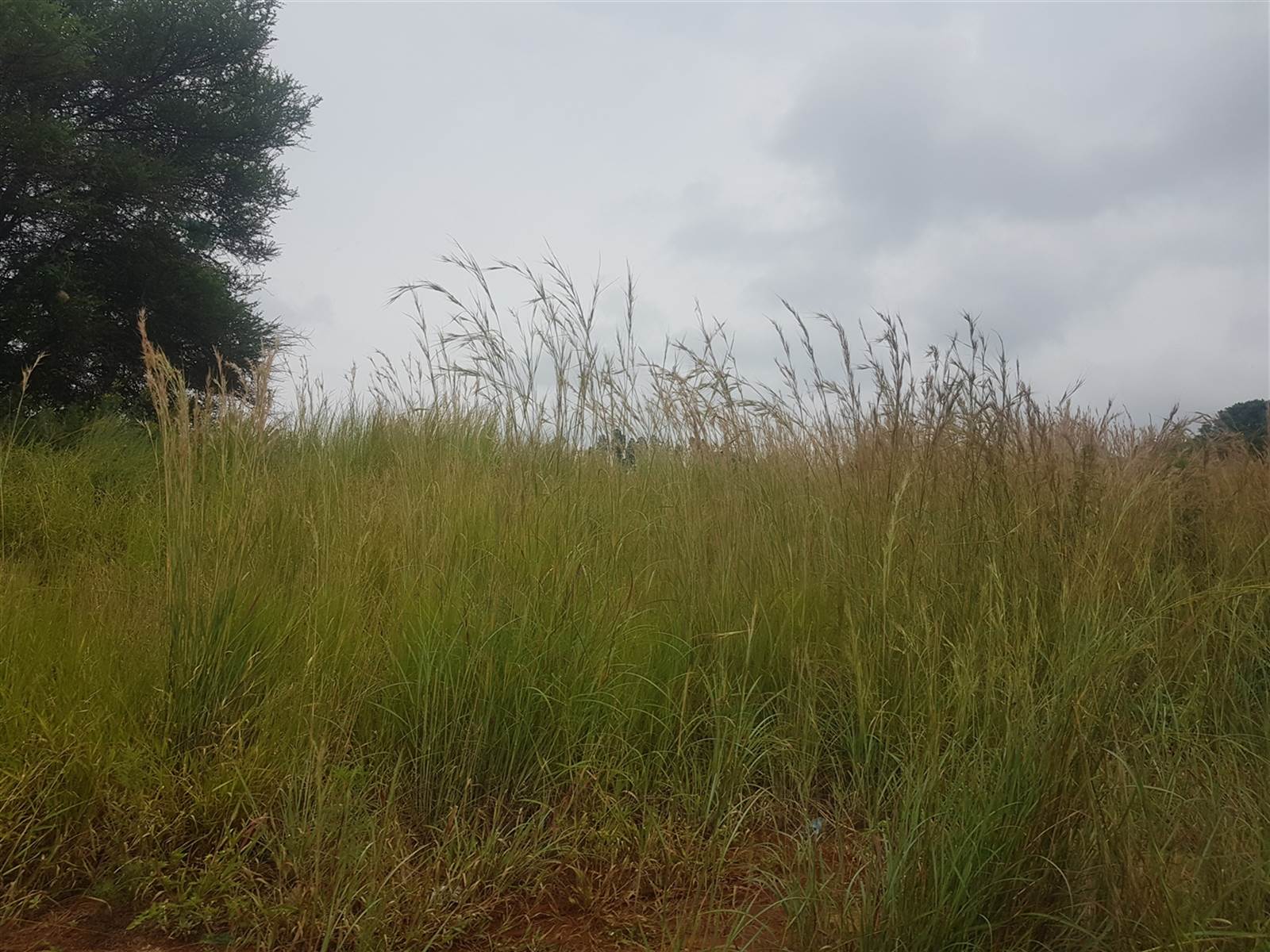 4.4 ha Land available in Cashan photo number 8
