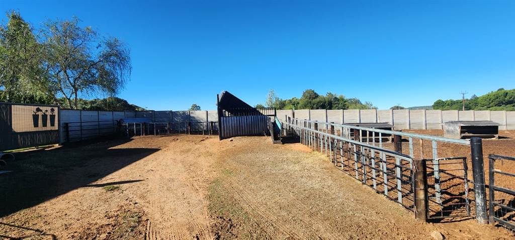 4300 m² Smallholding in Bloemfontein Farms photo number 30