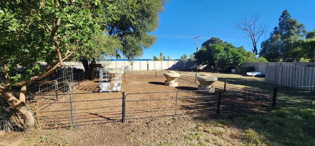4300 m² Smallholding in Bloemfontein Farms photo number 29