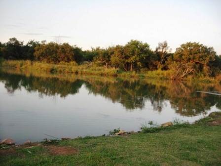 1 ha Land available in Leeuwfontein Estate photo number 9