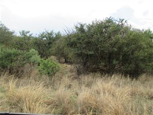 1 ha Land available in Leeuwfontein Estate