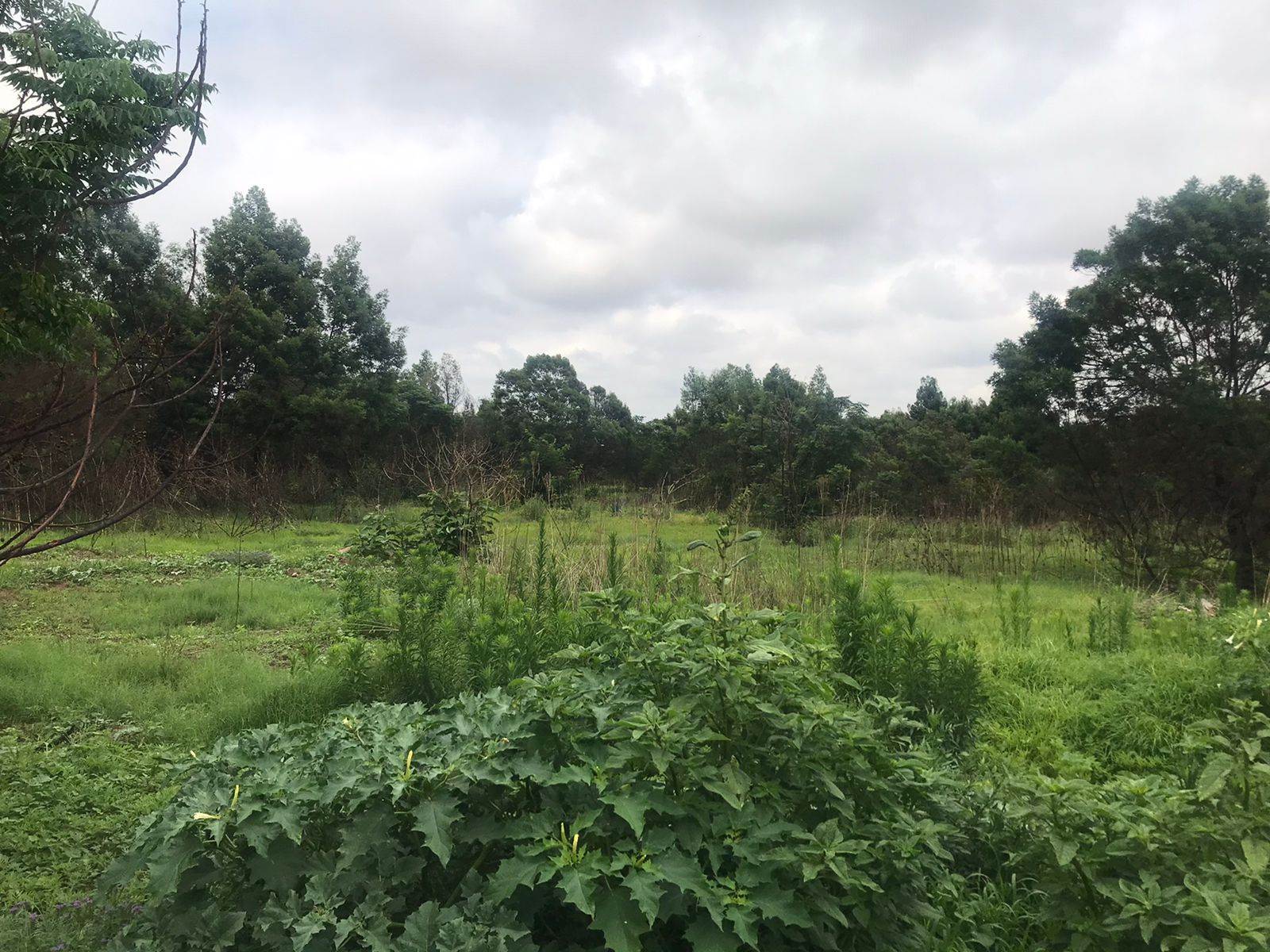 4.3 ha Land available in Linbro Park photo number 1