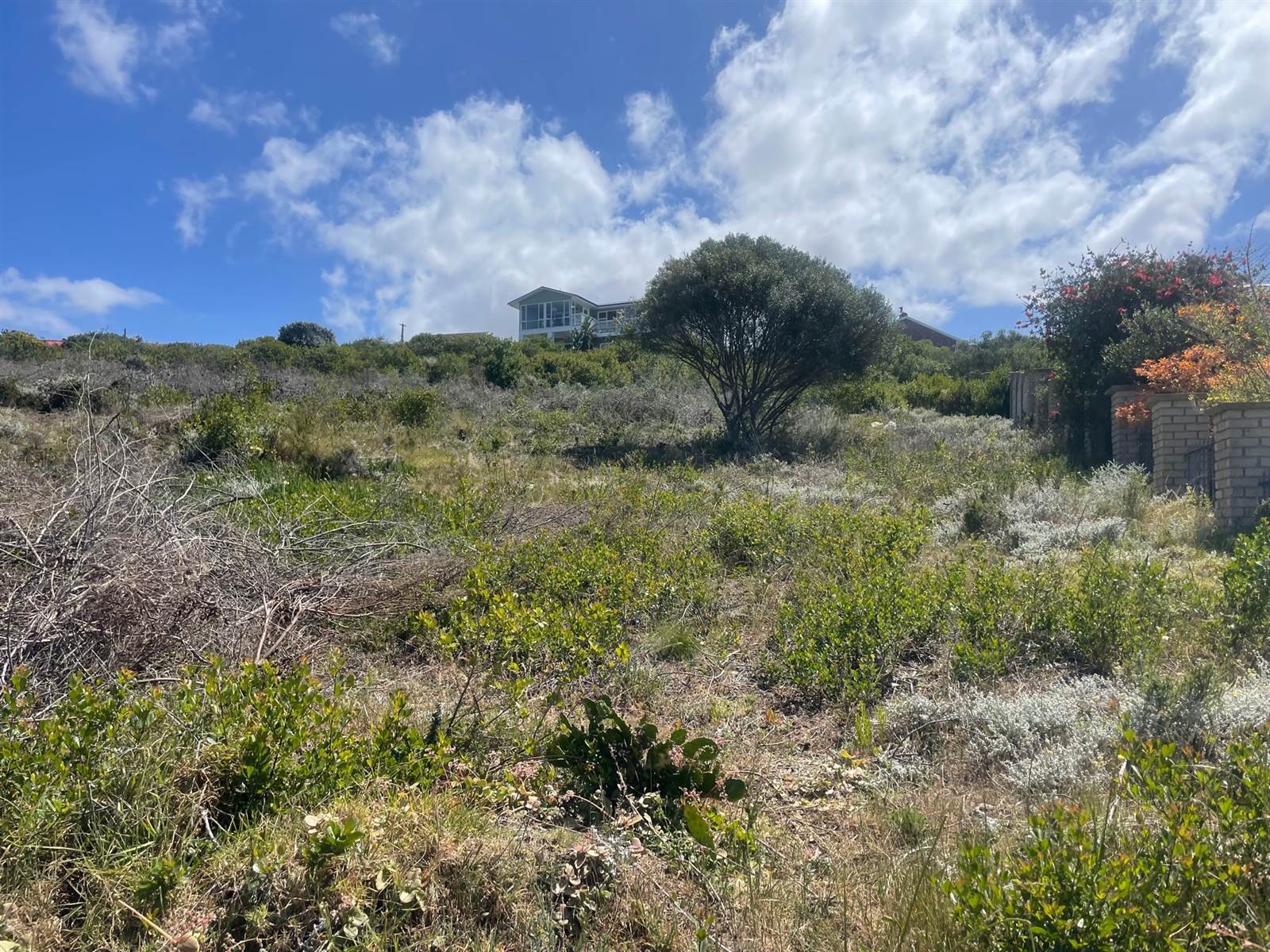 1020 m² Land available in Dana Bay photo number 7