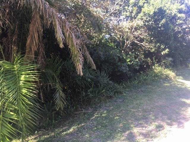1650 m² Land available in Ramsgate photo number 7