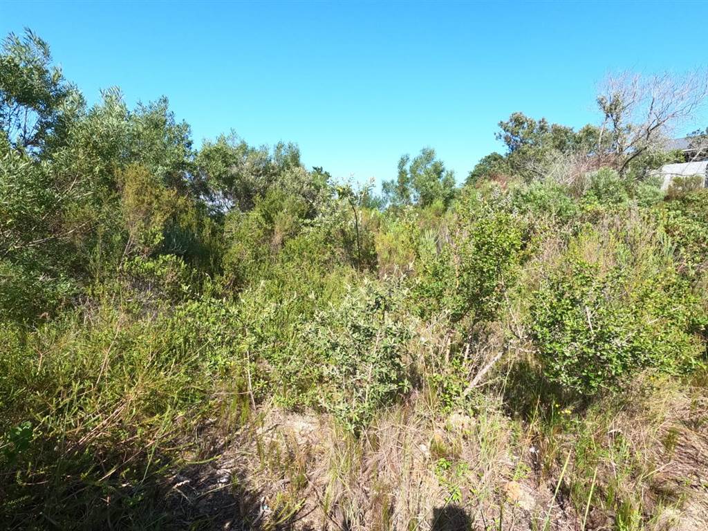 1908 m² Land available in Sedgefield photo number 6