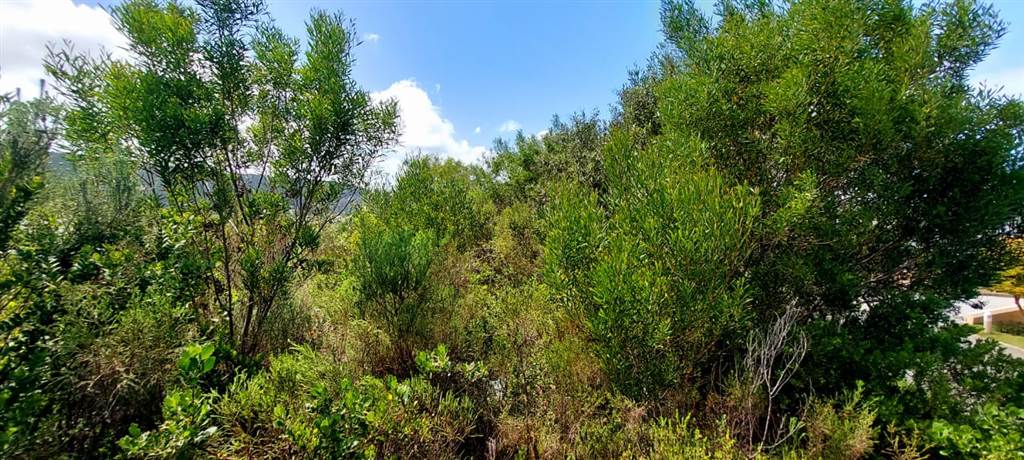 1908 m² Land available in Sedgefield photo number 8
