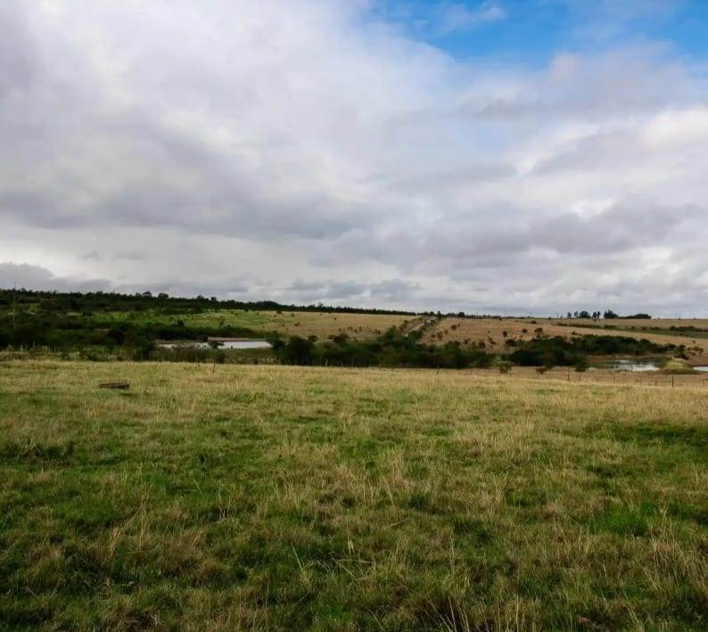 53.8 ha Farm in King Williams Town photo number 4