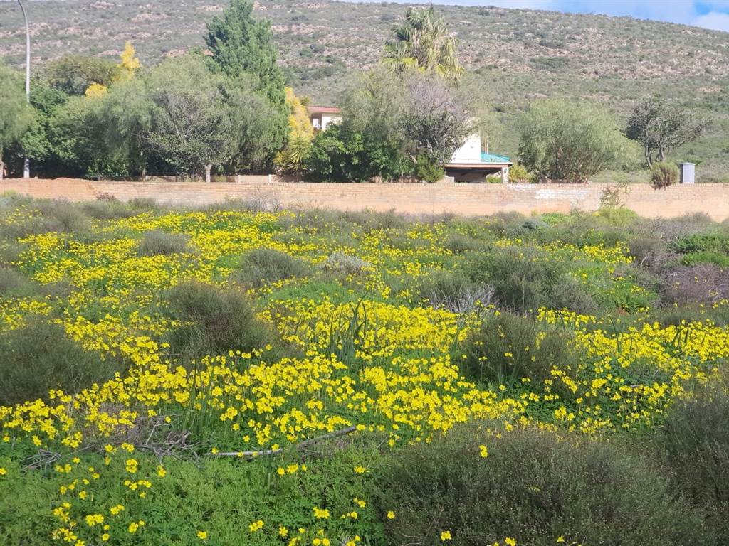 1160 m² Land available in Montagu photo number 2
