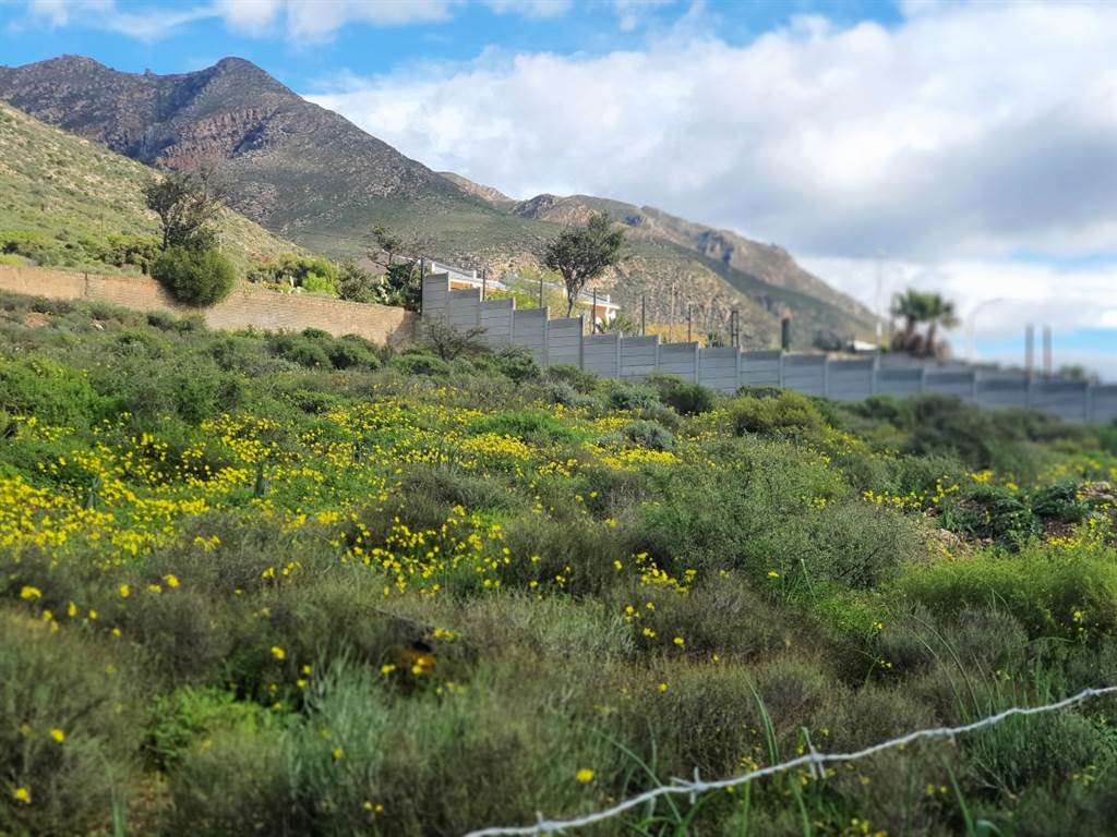 1160 m² Land available in Montagu photo number 4