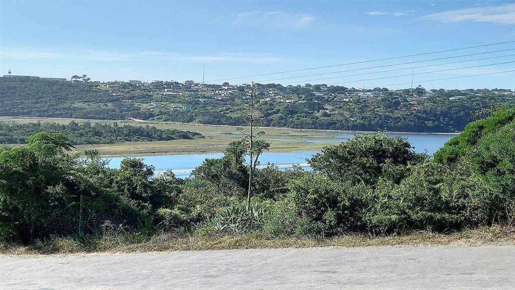 1111 m² Land available in Port Alfred photo number 3