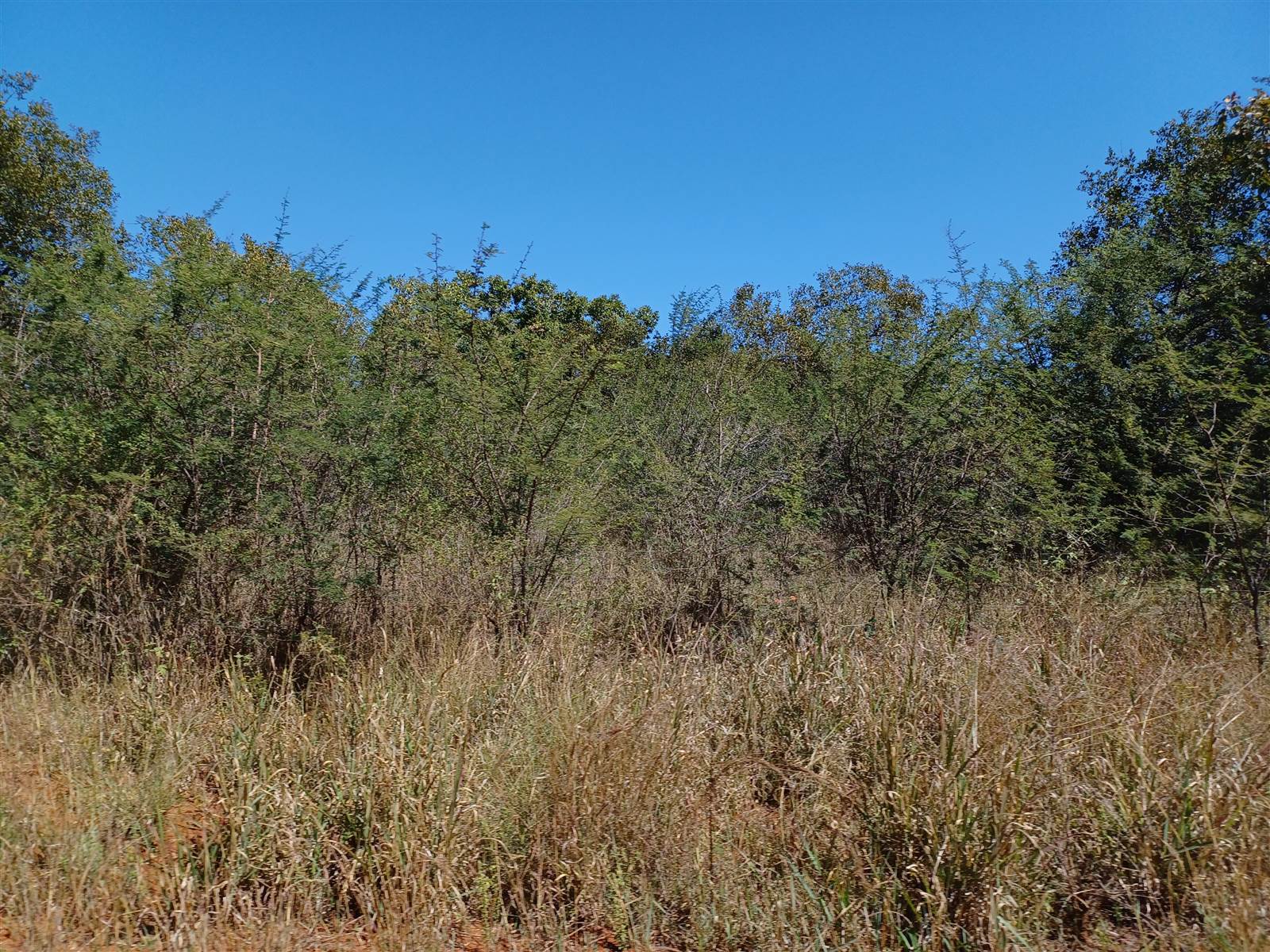 8.5 ha Land available in Mookgophong (Naboomspruit) photo number 5