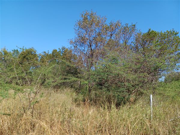 8.5 ha Land available in Mookgophong (Naboomspruit)