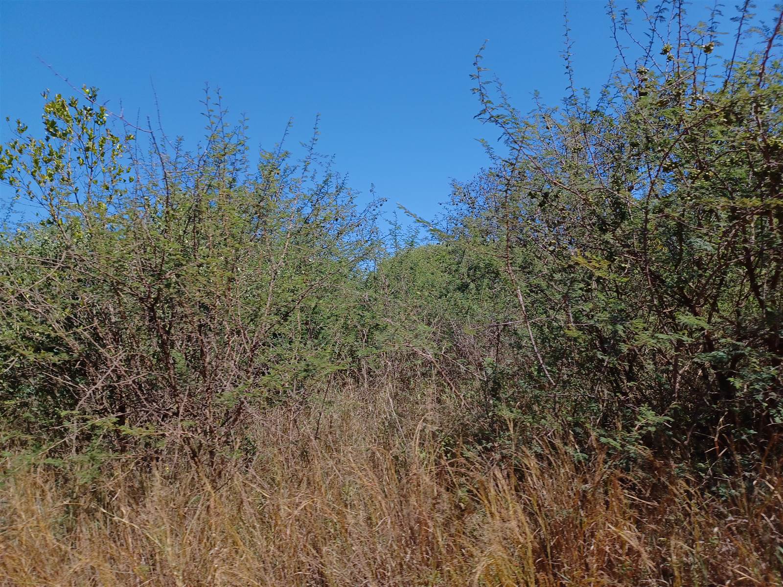 8.5 ha Land available in Mookgophong (Naboomspruit) photo number 4