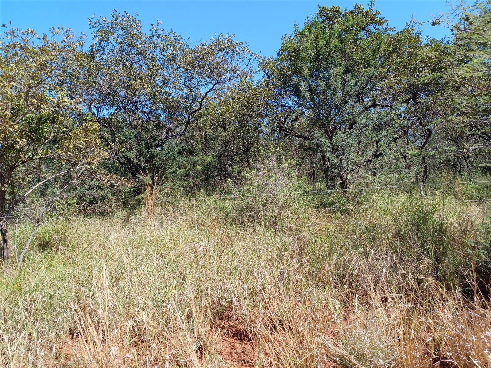 8.5 ha Land available in Mookgophong (Naboomspruit) photo number 3