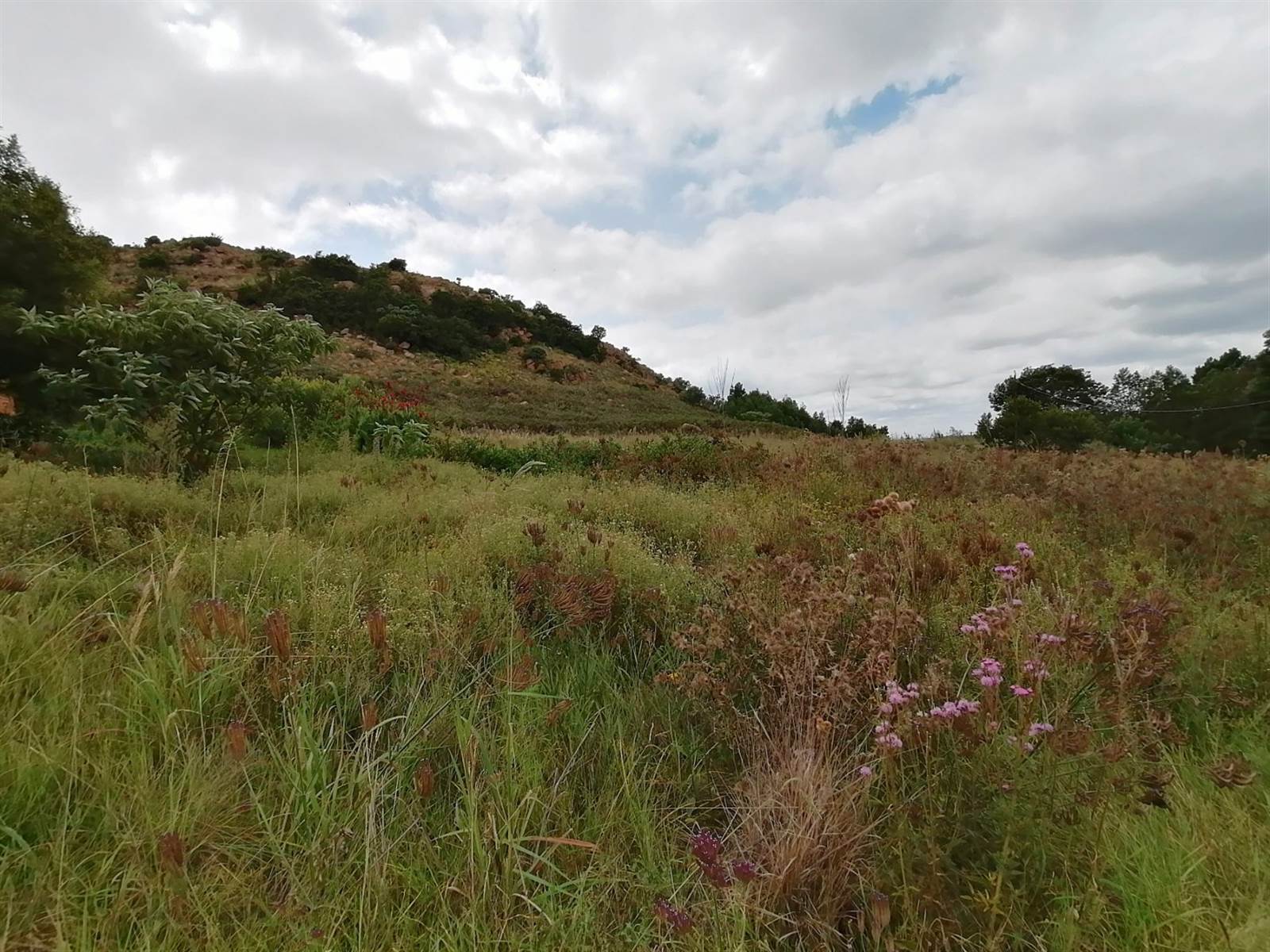 2658 m² Land available in Bronkhorstbaai photo number 6