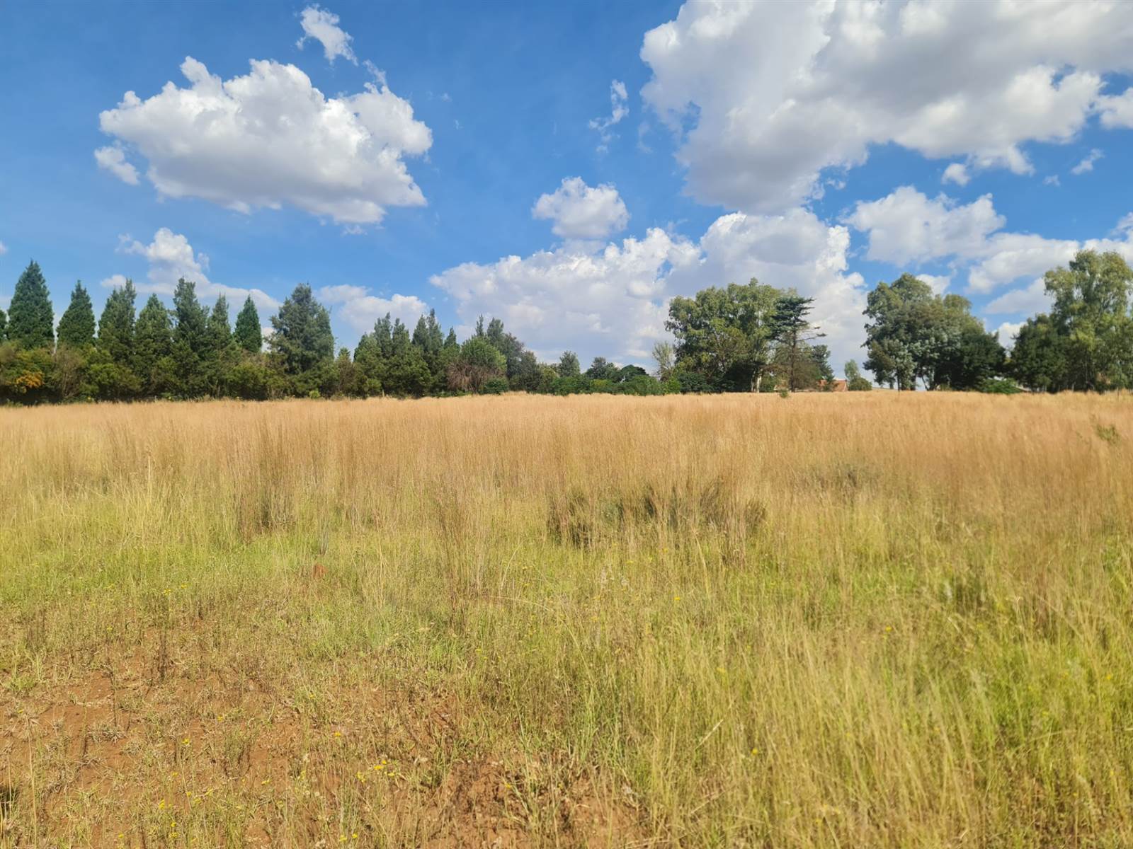 1.7 ha Land available in Tarlton photo number 5
